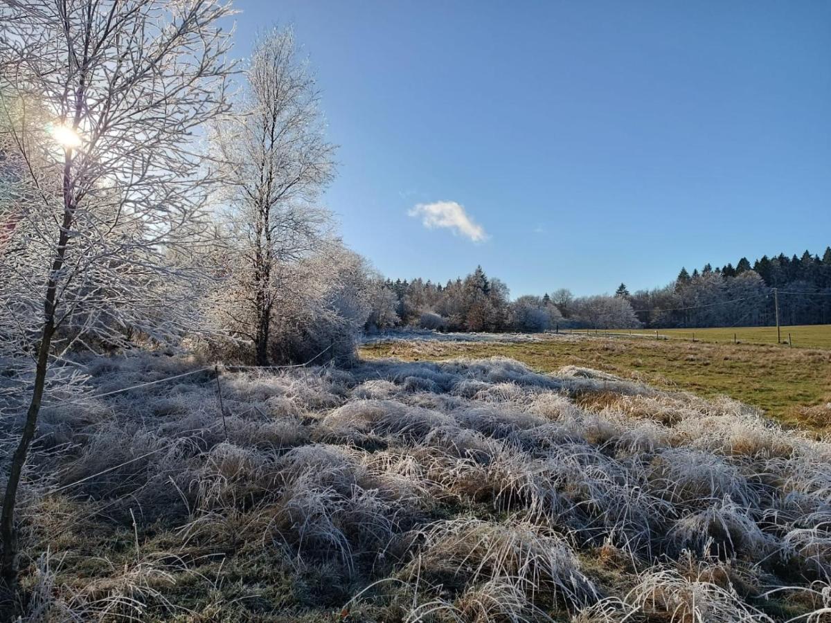 Les Ecureuils Bed & Breakfast Revin  Eksteriør bilde